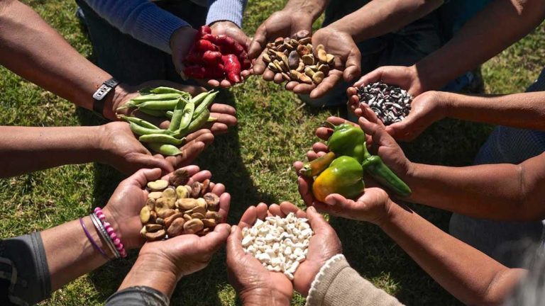 Seminario del Instituto Patria: Soberanía Alimentaria, Mitos y Desafíos