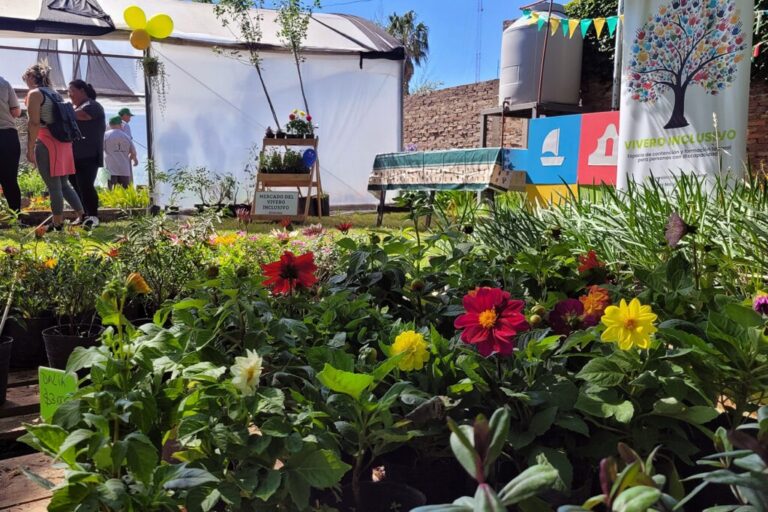 El Vivero Inclusivo no se toma vacaciones y sigue compartiendo su trabajo durante todo el verano El Vivero Inclusivo no se toma vacaciones y sigue compartiendo su trabajo durante todo el verano