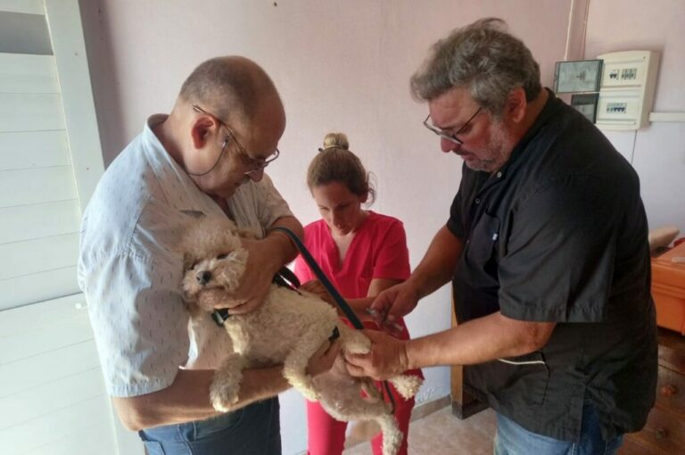 Con una jornada en el Parador Turístico, comienza la campaña de vacunación antirrábica y desparasitación
