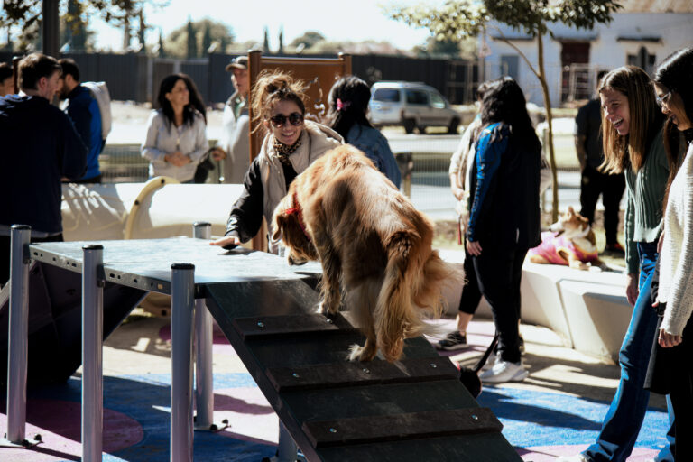 Rosario inauguró su primera plaza con espacio exclusivo para perros en Pichincha