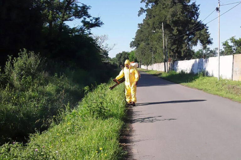 Objetivo dengue, sin pausa: la Municipalidad de San Lorenzo aplica larvicida en reservorios de agua